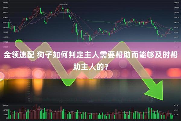 金领速配 狗子如何判定主人需要帮助而能够及时帮助主人的？