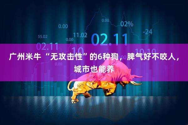 广州米牛 “无攻击性”的6种狗，脾气好不咬人，城市也能养
