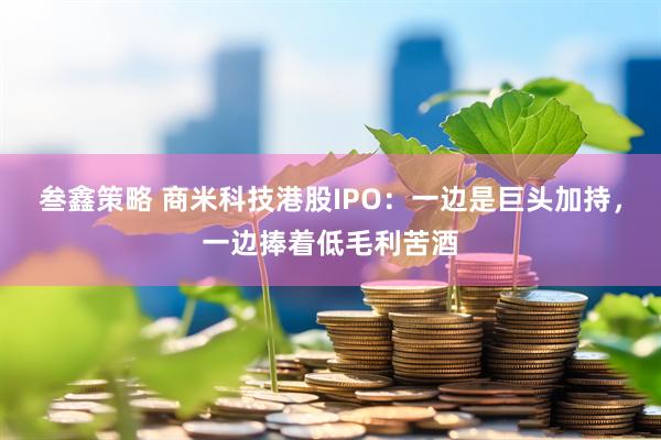 叁鑫策略 商米科技港股IPO：一边是巨头加持，一边捧着低毛利苦酒