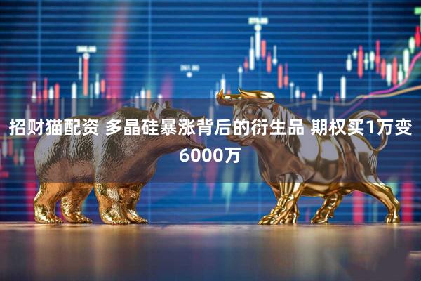 招财猫配资 多晶硅暴涨背后的衍生品 期权买1万变6000万