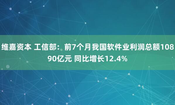 维嘉资本 工信部：前7个月我国软件业利润总额10890亿元 同比增长12.4%