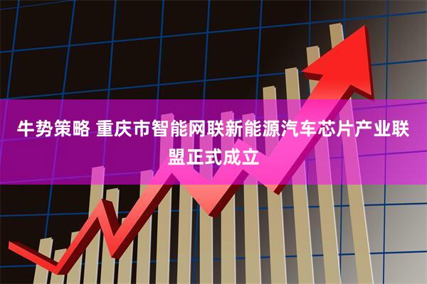 牛势策略 重庆市智能网联新能源汽车芯片产业联盟正式成立