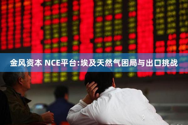 金风资本 NCE平台:埃及天然气困局与出口挑战