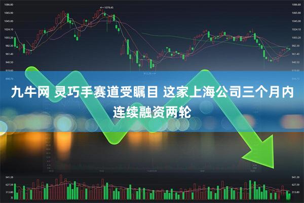 九牛网 灵巧手赛道受瞩目 这家上海公司三个月内连续融资两轮