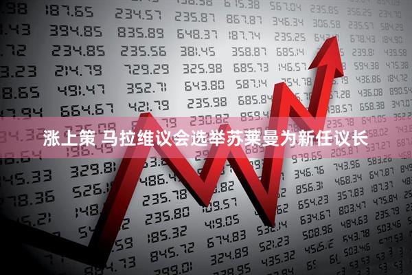 涨上策 马拉维议会选举苏莱曼为新任议长